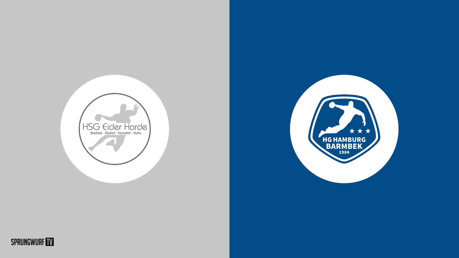 HSG Eider Harde Vs HG Hamburg Barmbek Oberliga HH SH Herren 2022 hsg-eider-harde-vs-hg-hamburg-barmbek-oberliga-hh-sh-herren-2022