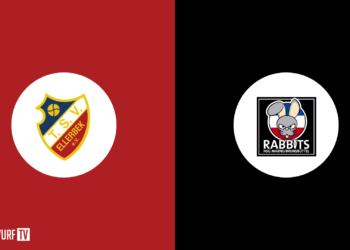TSV Sieverstedt vs. HG OKT | Schleswig-Holstein-Liga | Herren | 2023-2024