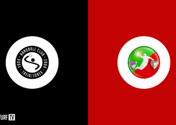 TSV Sieverstedt vs. HSG Tills Löwen 08 | Schleswig-Holstein-Liga | Herren | 2023-2024