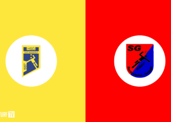 HSG Tarp/Wanderup vs. SG Bordesholm/Brügge | Schleswig-Holstein-Liga | Herren | 2023-2024