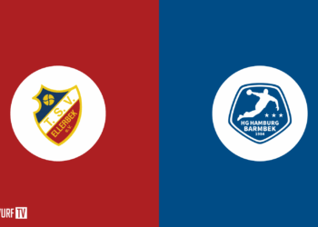 HSG Schülp/W/RD vs. AMTV Hamburg | Regionalliga Nord | Herren | 2024-2025